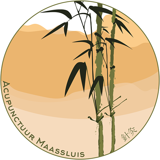 Logo Acupunctuur Maassluis Acupunctuur Marco Bruin