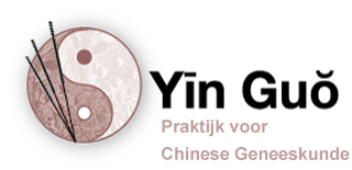 Logo Yin Guo Praktijk voor Chinese Geneeskunde